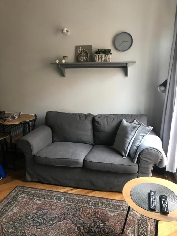 Apartament Kowalska Starowka Apartment แอลบลอง ภายนอก รูปภาพ